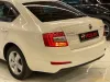 Skoda Octavia 1.6 TDI Optimal Thumbnail 2